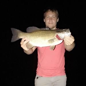 Meet your Posher, Bailey